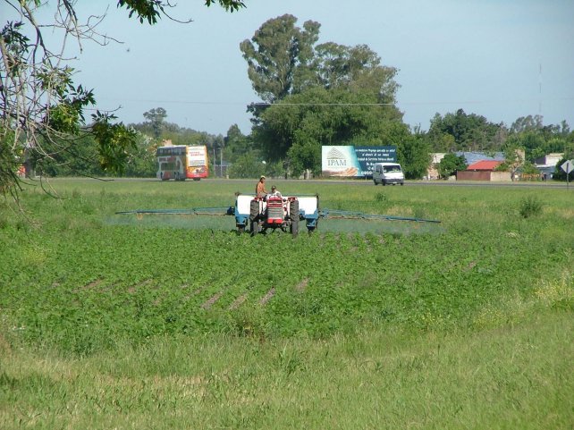 La UNL investiga el problema del uso de glifosato en el agro
