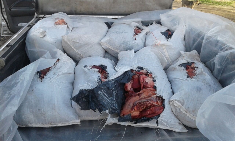 Detenido por transportar carne en forma ilegal, e intento de soborno
