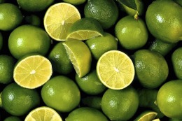 Un desarrollo del INTI optimizará la industria alimentaria y cosmética