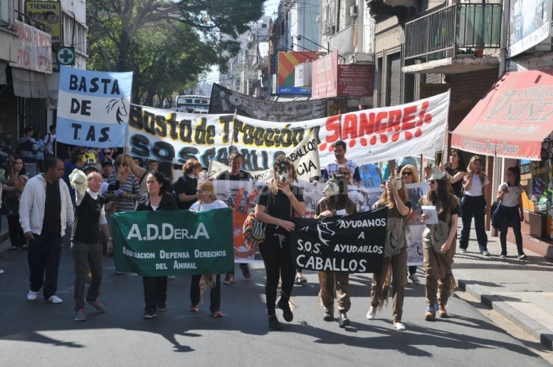 Marcharon contra la tracción a sangre
