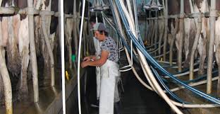 Se registró una fuerte caída de las exportaciones en Santa Fe