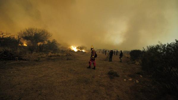 El incendio forestal 