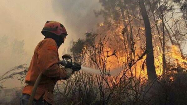 Investigan si seis jóvenes iniciaron el incendio