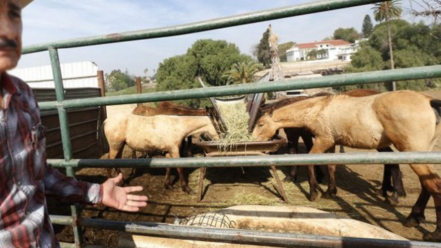 Apartan a un funcionario del Senasa por coimero