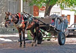 Impulsan la reconversión de los carreros