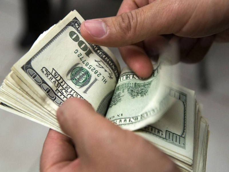 El Gobierno estimó la cotización del dólar hasta 2019