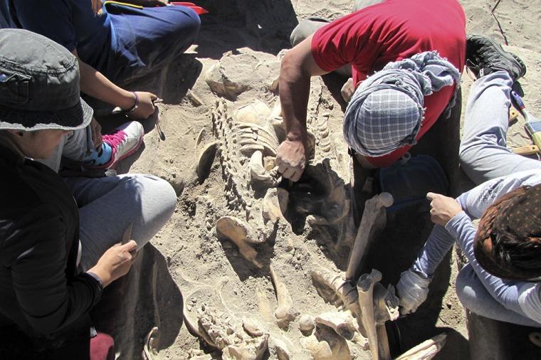 Encuentran un cementerio indígena de más de mil años