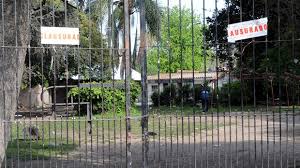 Hallaron a los seis jóvenes organizadores de la fiesta