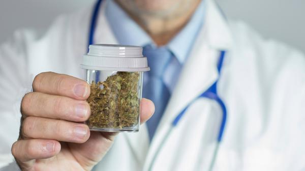 Por primera vez, una provincia aprobó la marihuana para uso medicinal