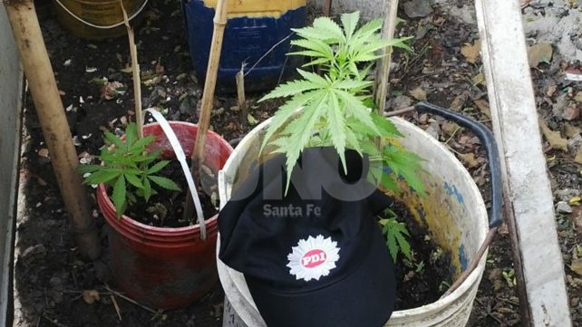 Cayó una vendedora barrial de drogas y le incautaron estupefacientes