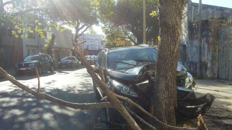 Robaron una camioneta, chocaron y se dieron a la fuga