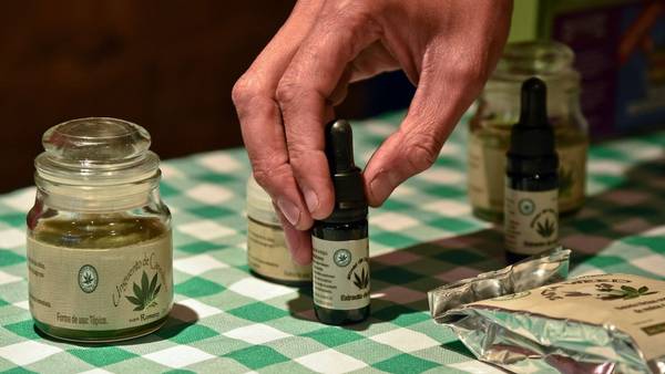Proyecto para el uso medicinal del aceite de Cannabis
