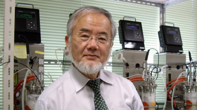 El premio Nobel de Medicina fue para el japonés Yoshinori Ohsumi