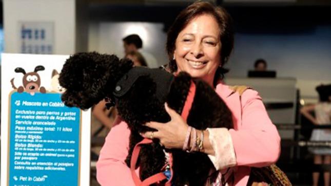 Cómo hacer para viajar con mascotas