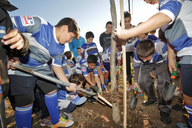 Ya se plantaron 9 mil árboles en toda la ciudad