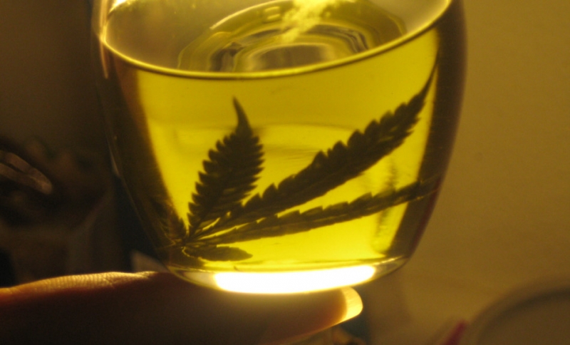 Se realizará un seminario debate sobre cannabis medicinal