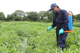 Preocupan las fumigaciones cerca de un jardín de infantes 