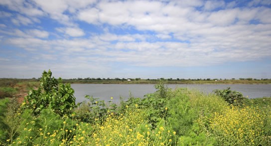 Realizarán una limpieza masiva en la Reserva Natural Urbana del Oeste