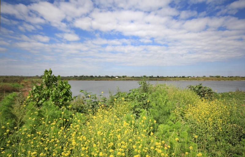 Limpieza masiva en la Reserva Natural del Oeste