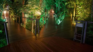Misiones, destino turístico sostenible con la Ruta de la Selva