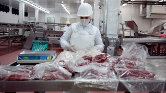 Los frigoríficos piden financiamiento por US$ 800 millones 