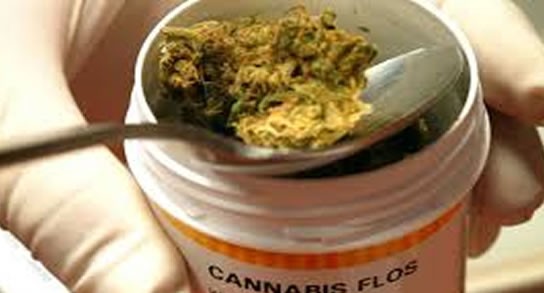 Comienzan a tratar la utilización de cannabis en la salud pública