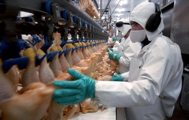 La industria avícola no levanta y hay preocupación en el sector