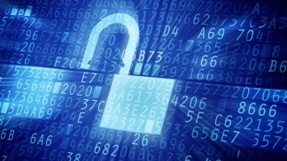 Desmantelan la mayor red de robots para fraude y robo de datos