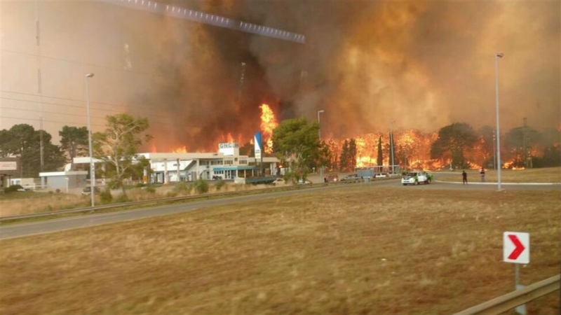 Diez dotaciones de bomberos combaten un incendio en los bosques de Cariló