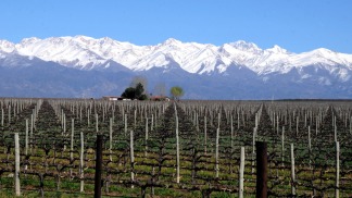 Mendoza, entre los destinos preferidos de los sudamericanos