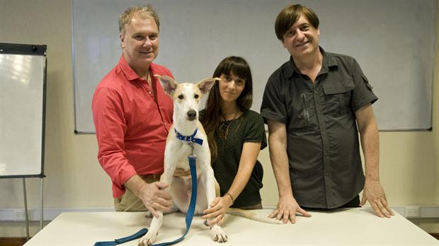 Llegó Antony, el primer perro clonado de América Latina