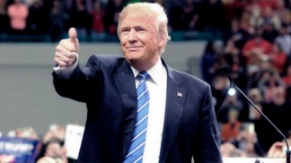 El año de Donald Trump