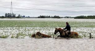 Miles de hectáreas bajo agua en la cuenca lechera
