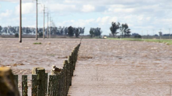Advierten lluvias intensas para este fin de semana