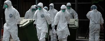 21 muertos en menos de dos meses por gripe aviar