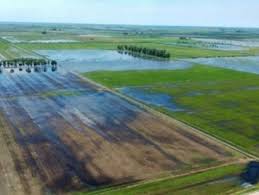 Se reúne la Comisión Nacional de Emergencia Agropecuaria
