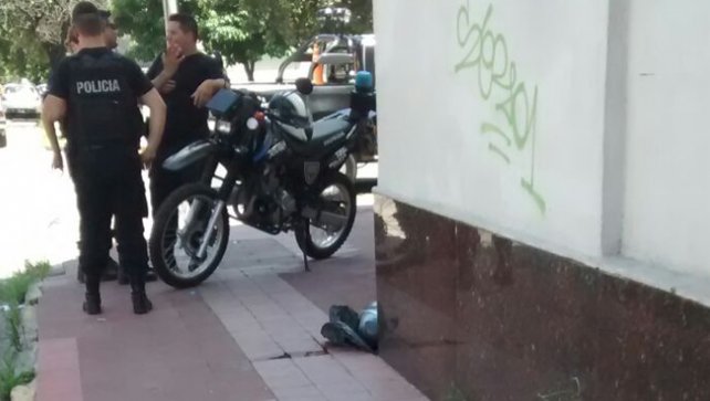 Hallan un perro muerto frente a la Legislatura