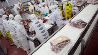 El Gobierno aumentará los reintegros impositivos para la carne