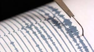 Un terremoto de 5,1 grados golpeó el noreste de Japón