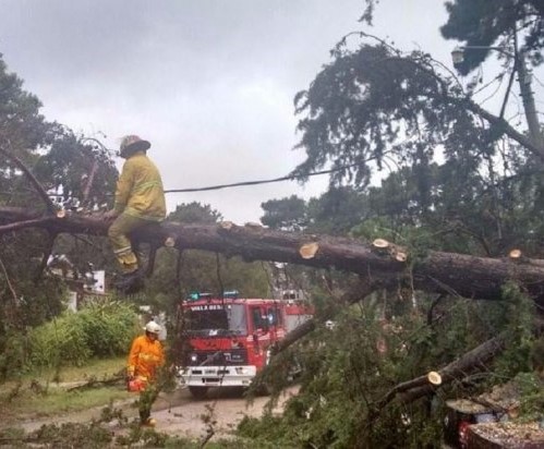 Evacuados, más de 100 árboles caídos, y alertas por trombas marinas 