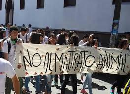 Proteccionistas marcharán contra el maltrato