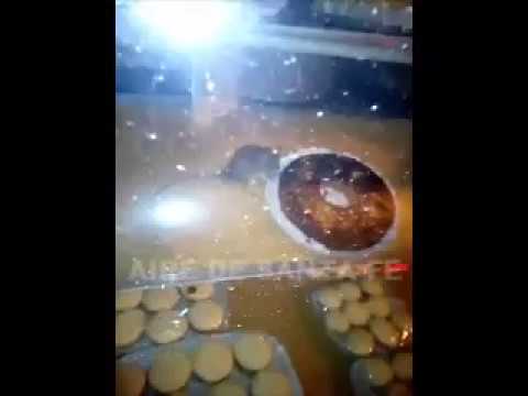 Clausuran la panadería donde encontraron roedor