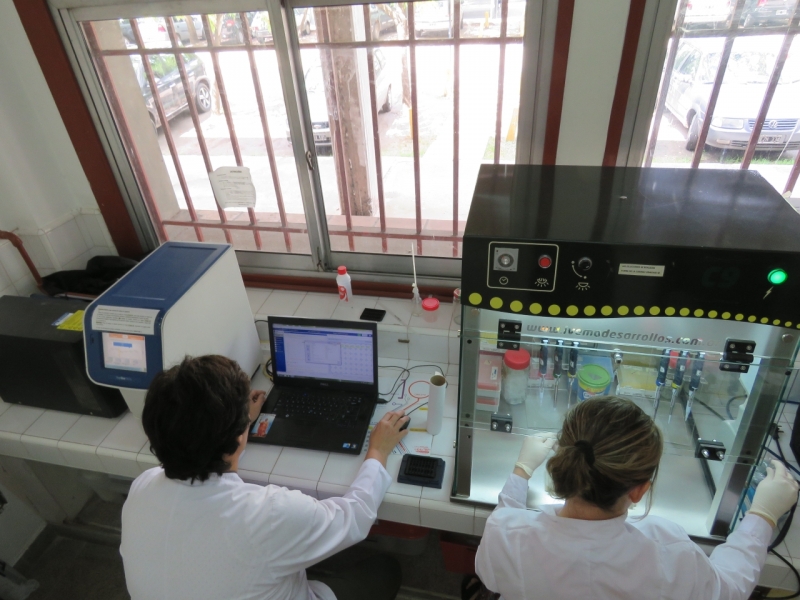 Diseñan un test para saber el sexo del bebé en la quinta semana de gestación