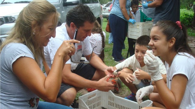 La Granja La Esmeralda celebró el nacimiento de yacarés 
