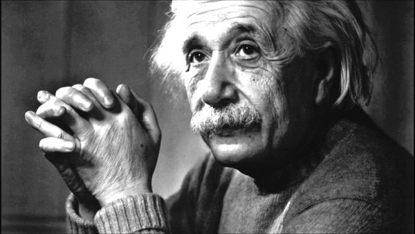 La extraña relación entre Einstein, las abejas y el fin del mundo
