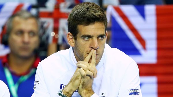 DEL POTRO COMENZARÁ SU GIRA SOBRE CÉSPED EN HOLANDA