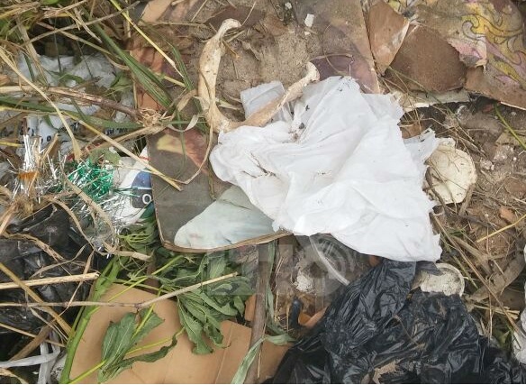 Encontraron restos de un cráneo en el norte de la ciudad