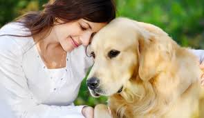 Tres enfermedades que las mascotas comparten con los humanos