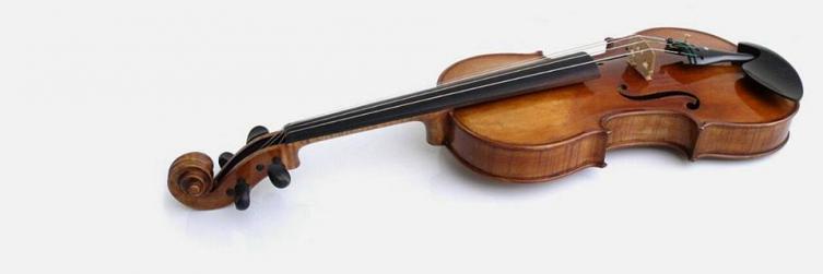 Robaron los violines a dos músicos