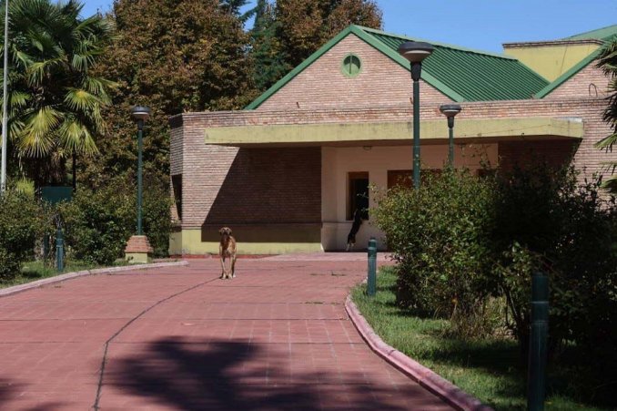 Son nueve los acusados de abusar a chicos sordos en un instituto